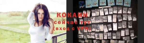 спиды Алексин