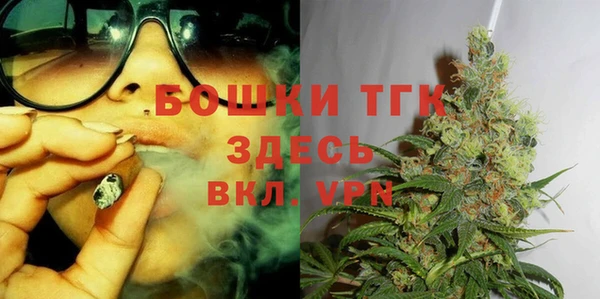 ПСИЛОЦИБИНОВЫЕ ГРИБЫ Абаза