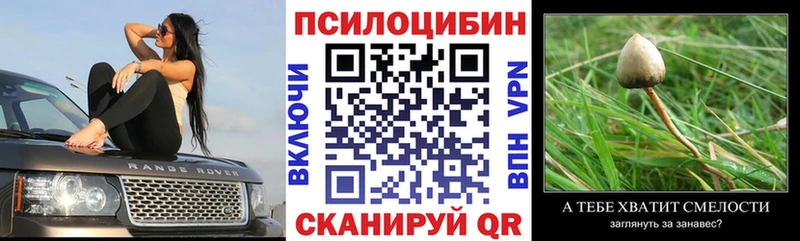 дарнет шоп нарко площадка наркотические препараты Галлюциногенные грибы Psilocybine cubensis Новоаннинский